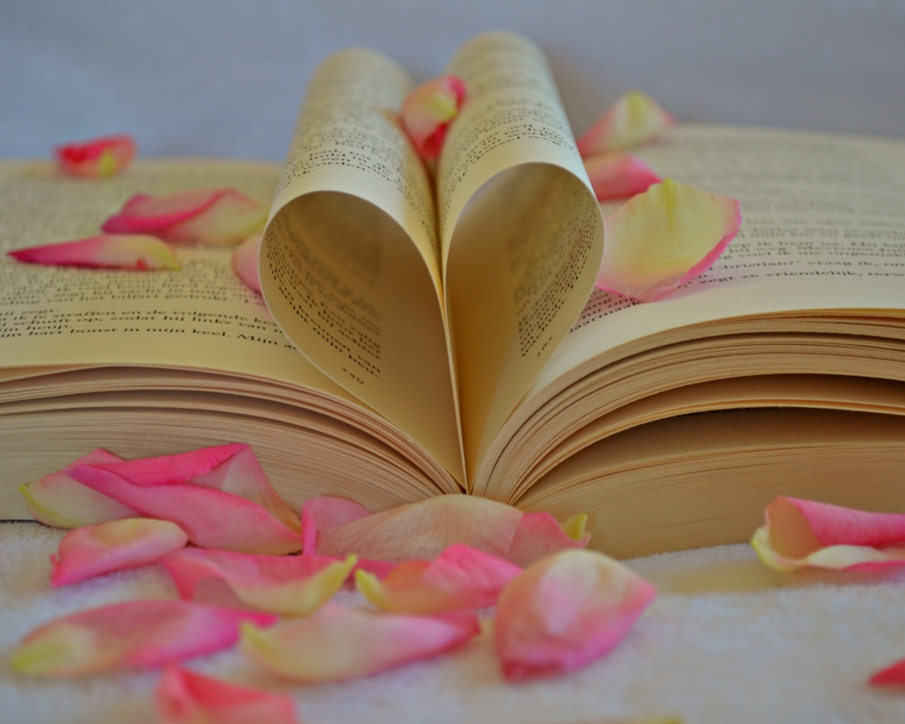 Сердце из листов книги с лепестками розы 