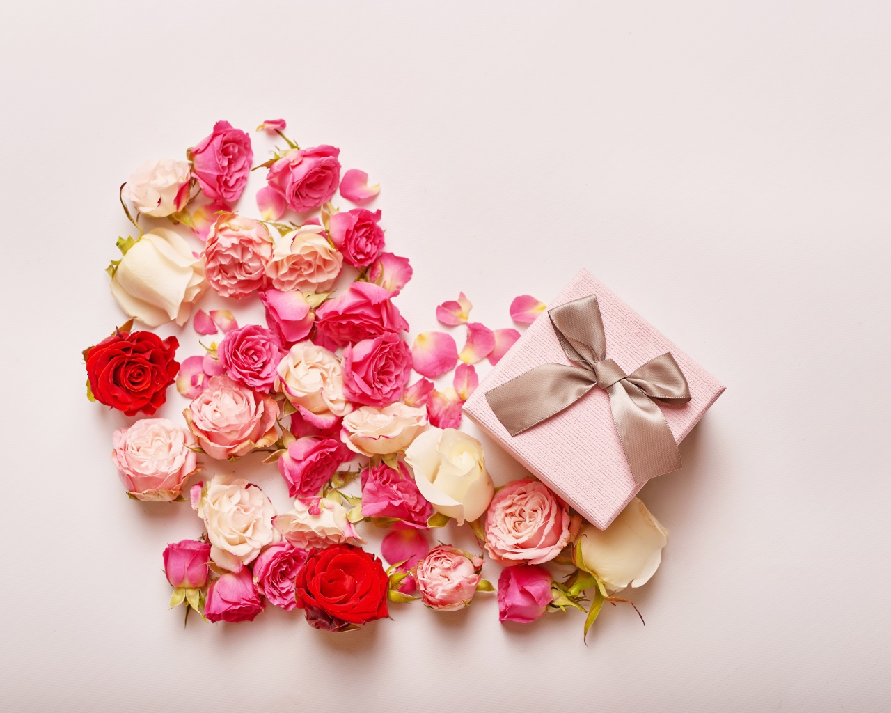 Сердце из цветов розы на розовом фоне с подарком