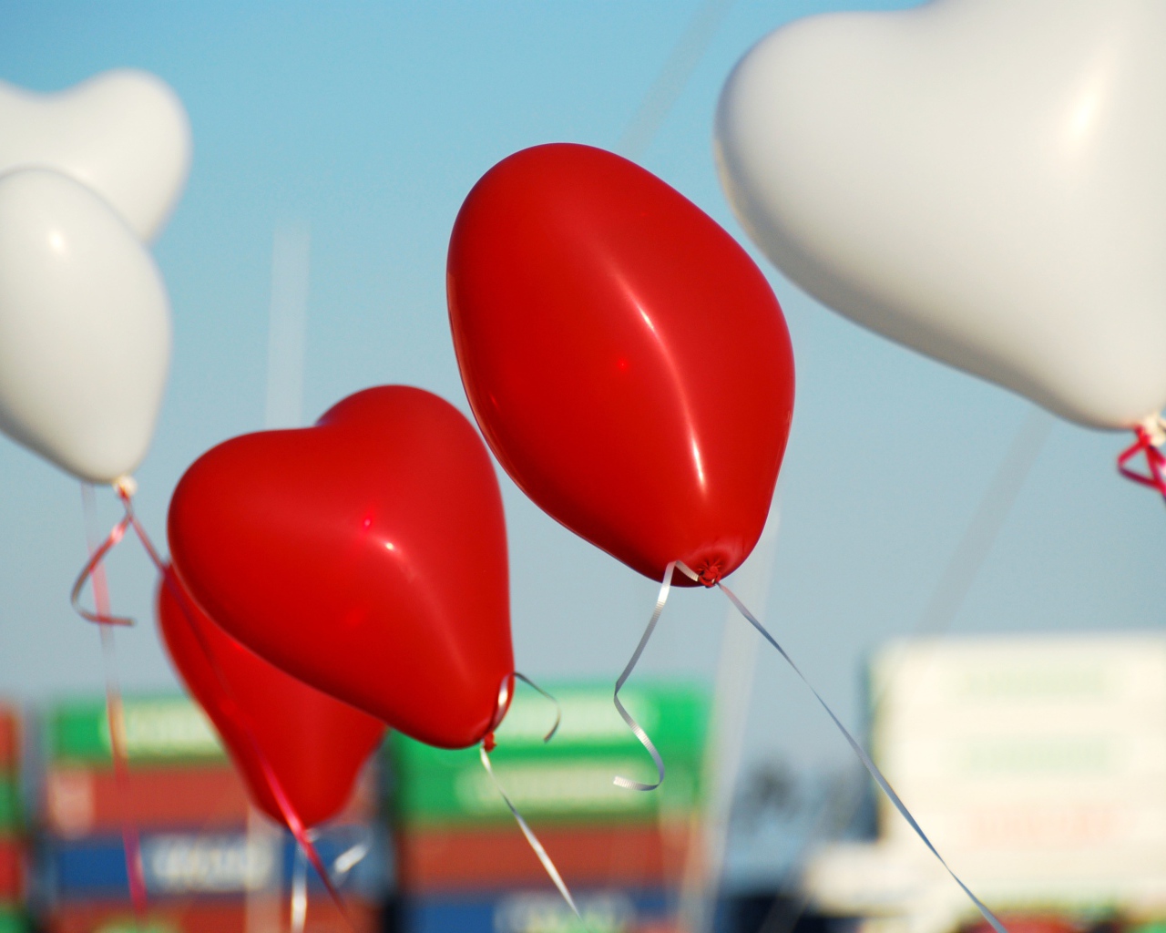 Белые и красные воздушные шарики в форме сердца