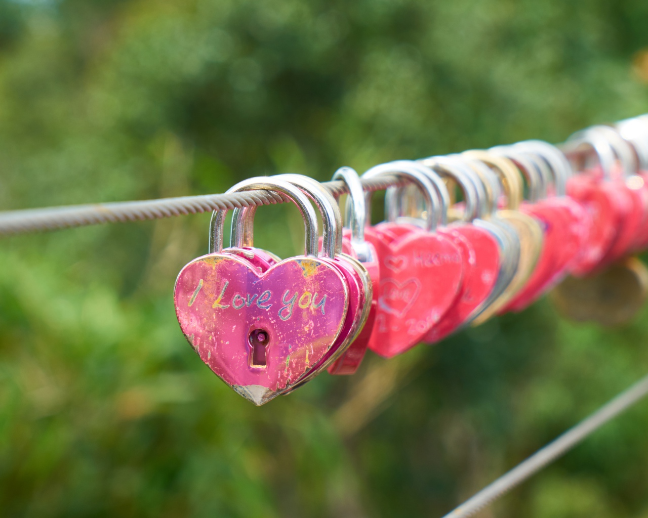 Замки влюбленных на канате у моста 