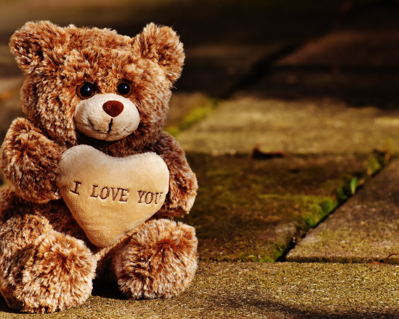 Игрушечный медведь с сердцем сидит на дороге 