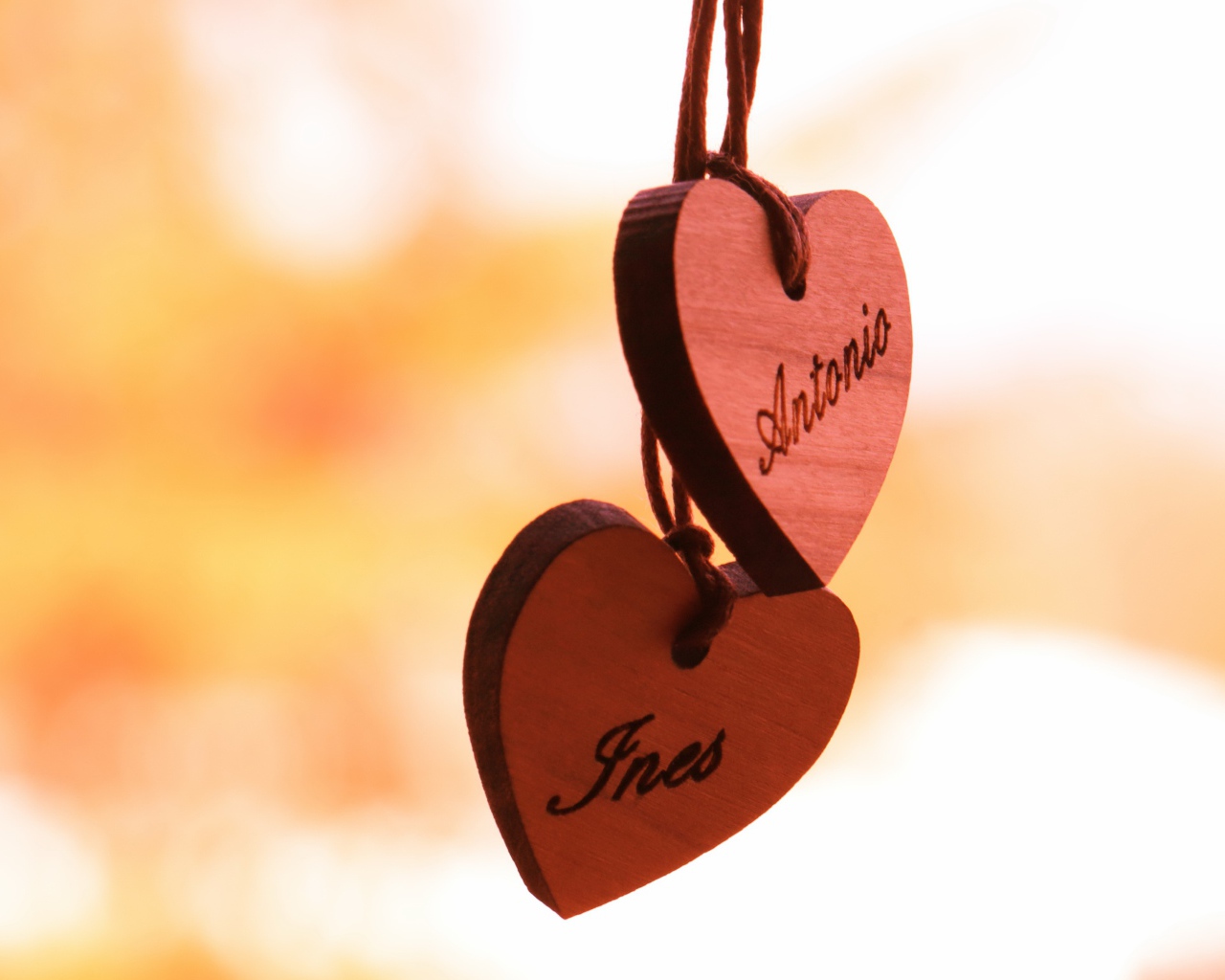 Два деревянных сердца на веревке  