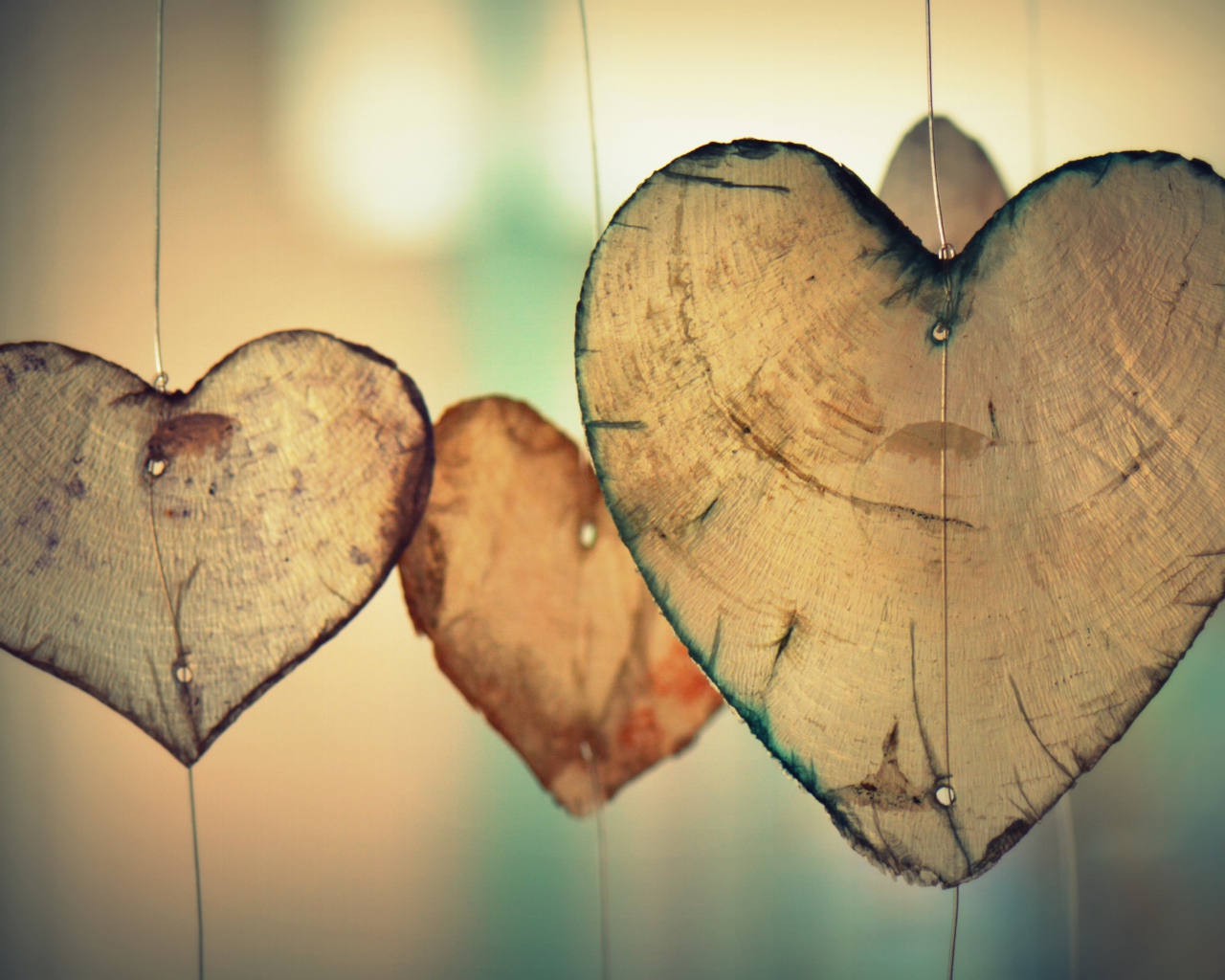 Деревянные сердечки на леске в воздухе