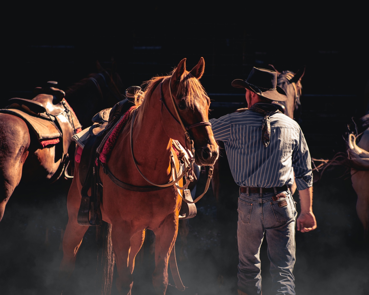 Мужчина ковбой с коричневой лошадью 