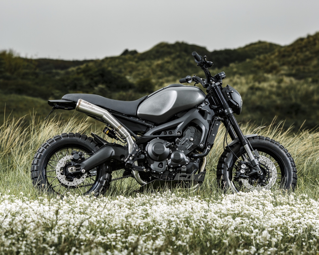 Черный мотоцикл Yamaha Tuning XSR900 в поле 