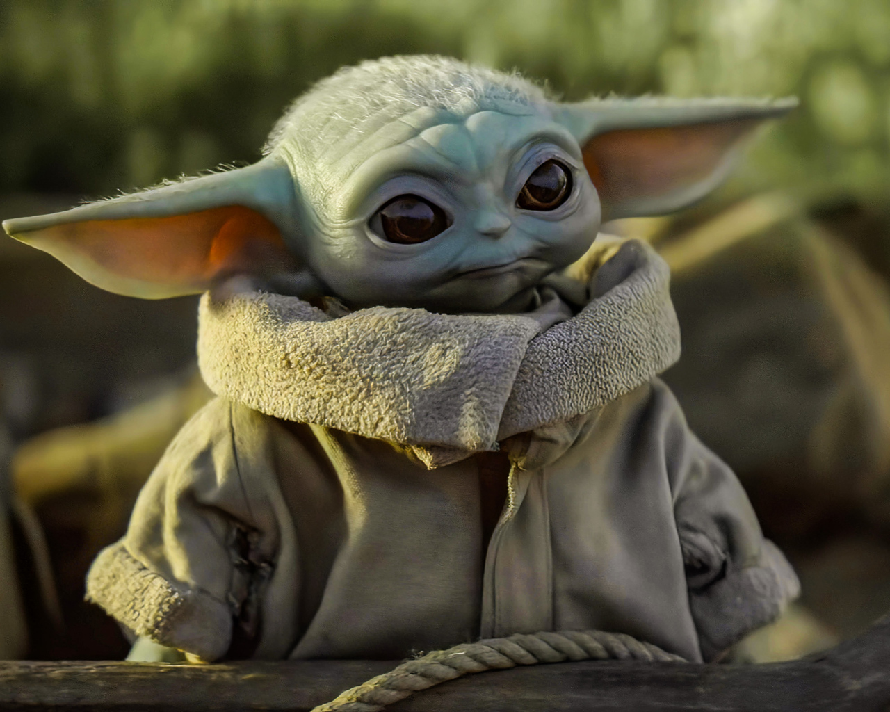 Маленький Мандалорец с большими ушами