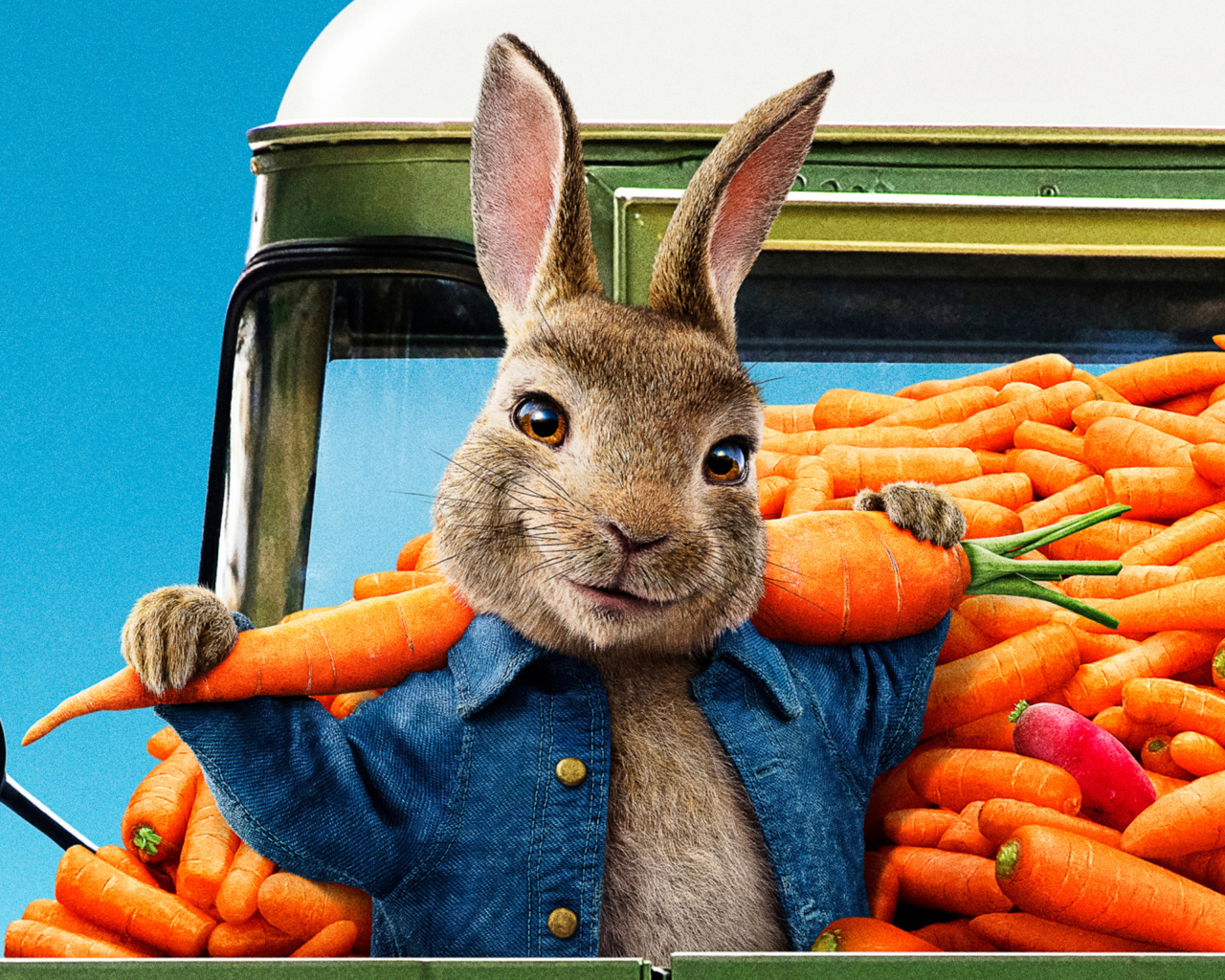 Постер нового фильма Кролик Питер 2, 2020 года