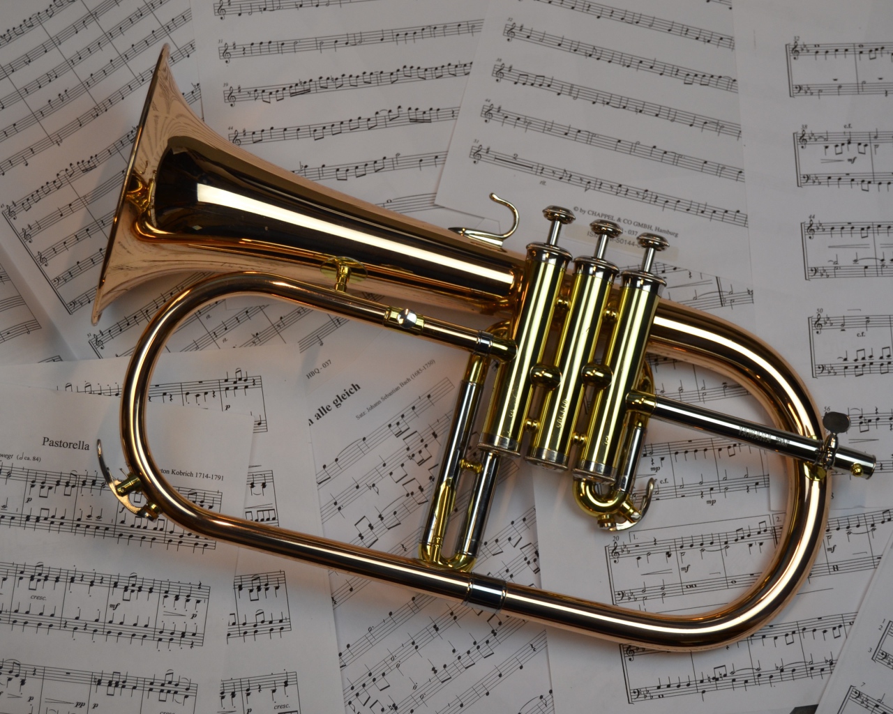 Музыкальный инструмент труба лежит на нотах 