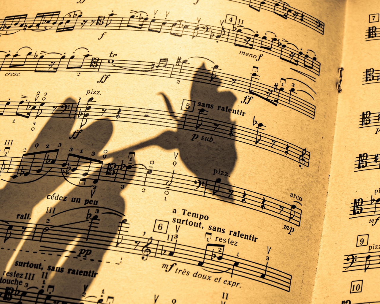 Тень розы на нотной тетради 