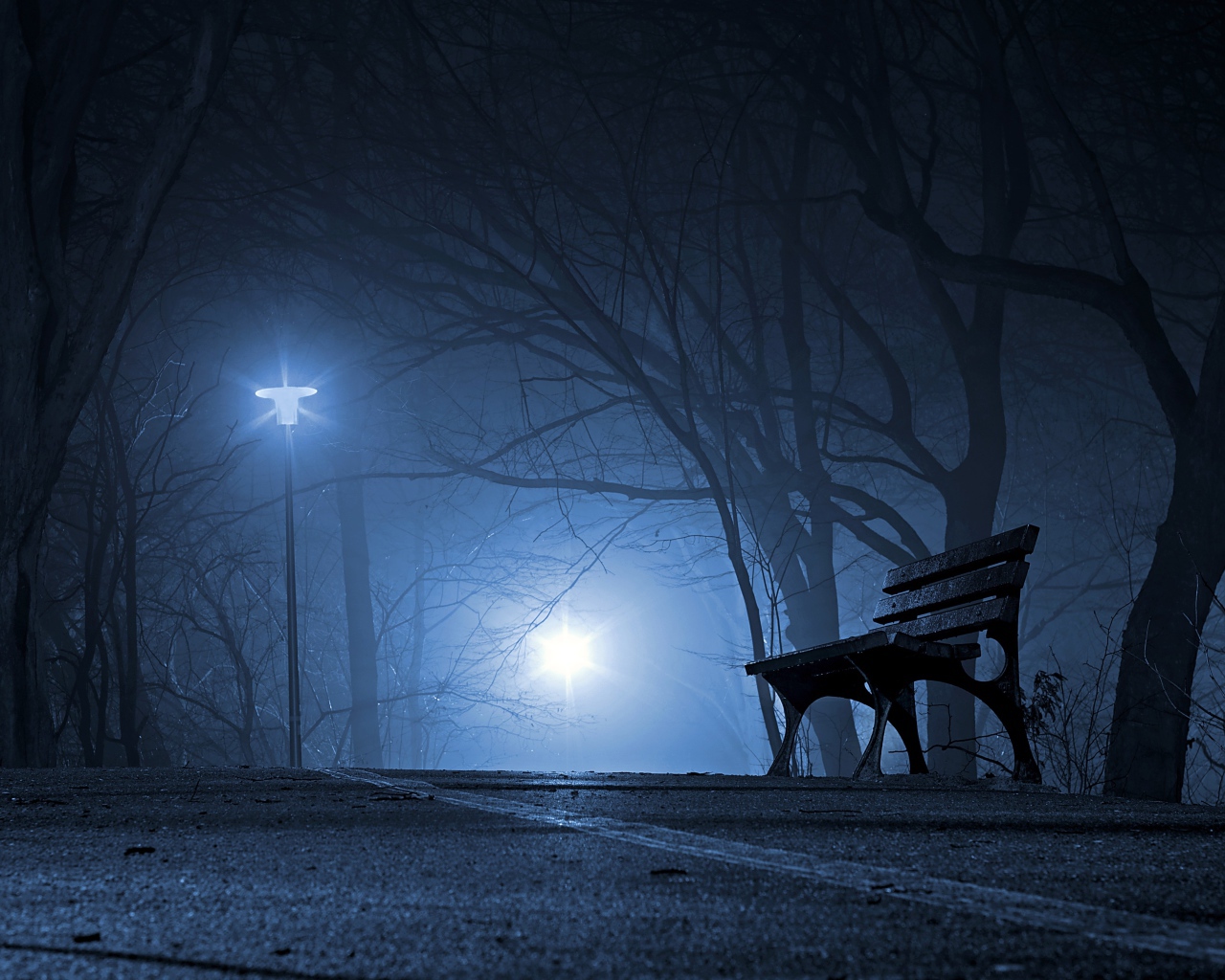 Лавочка в холодном ночном парке 