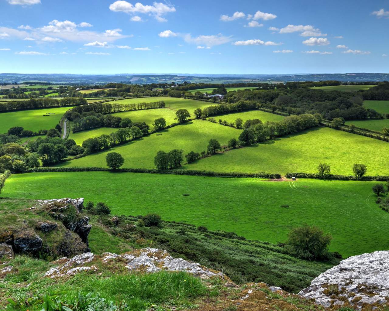Красивые зеленые луга в лучах солнца под голубым небом