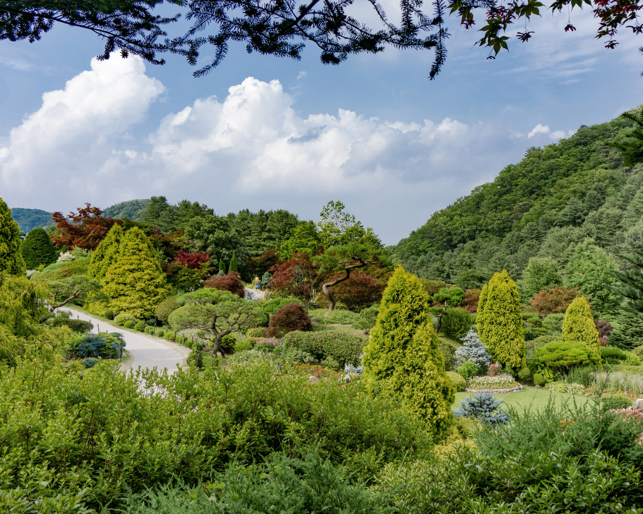 Красивый зеленый парк под голубым небом, Корея