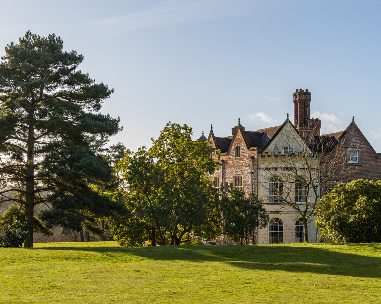 Красивый дом с деревьями и зеленым газоном