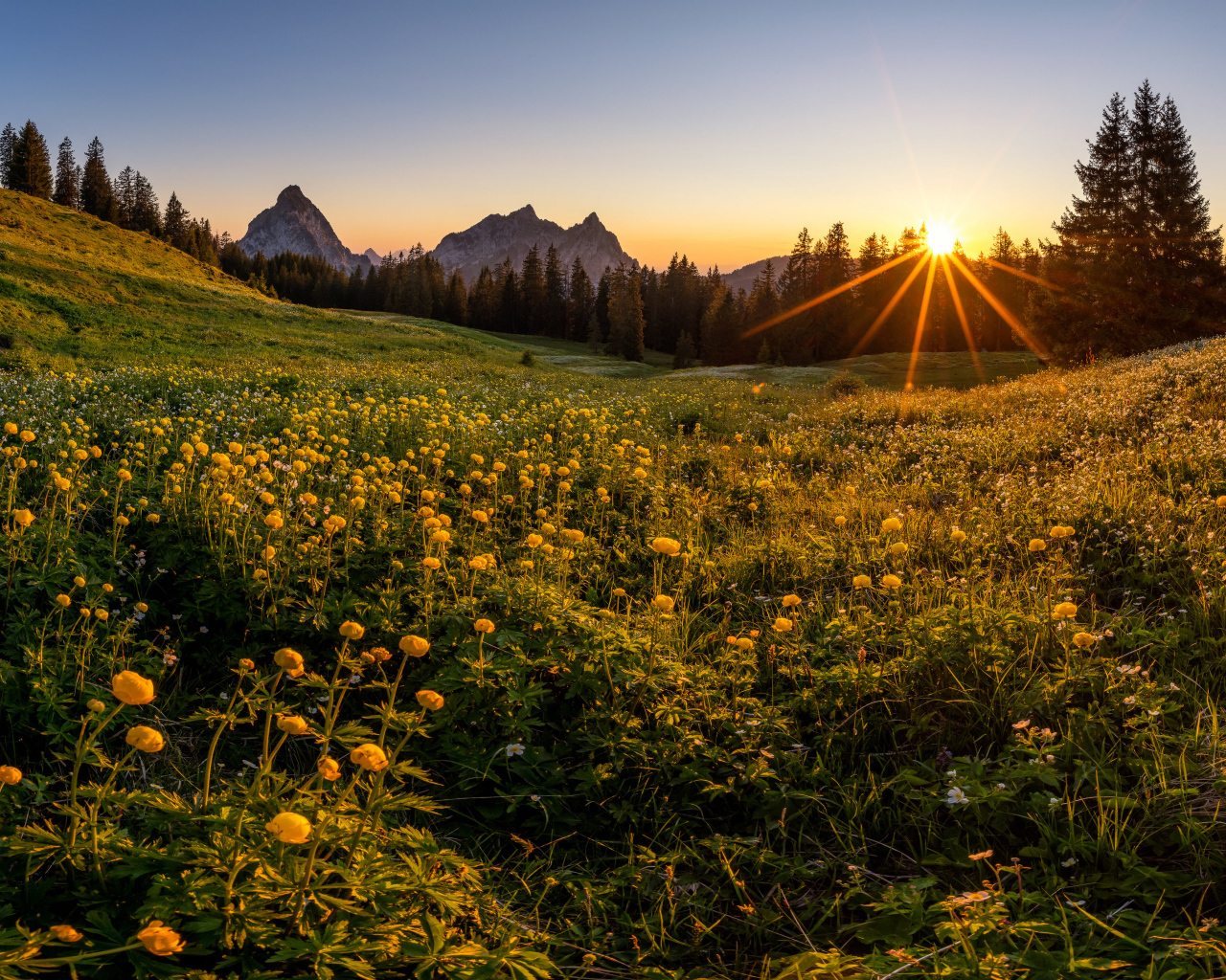 Красивый горный пейзаж солнечным днем