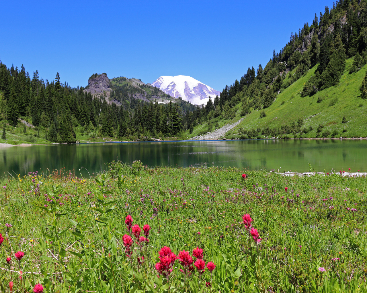 Красивый живописный пейзаж у горного озера 