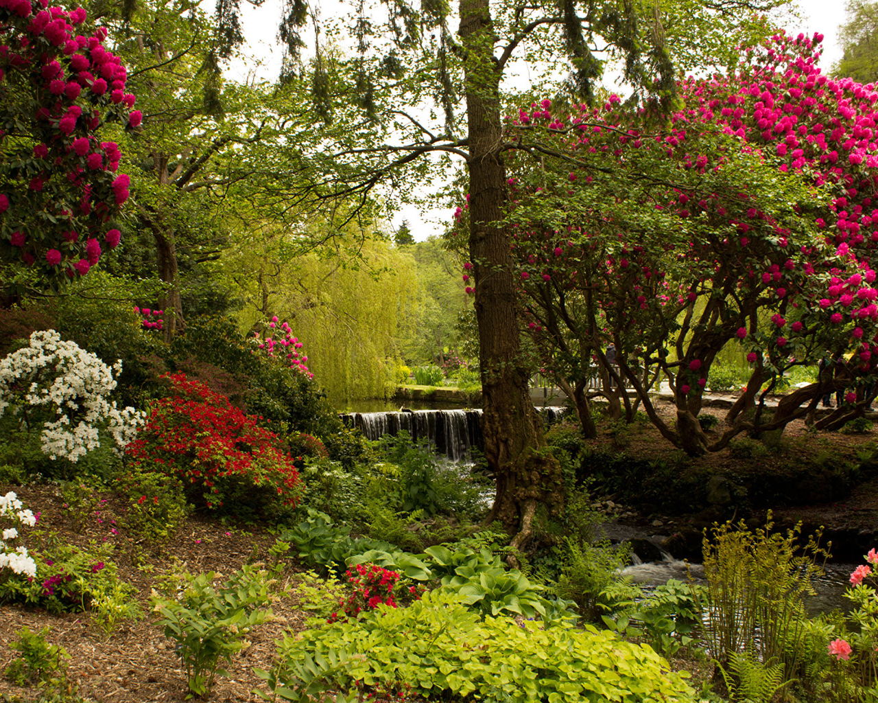 Красивый живописный парк с цветущими кустами