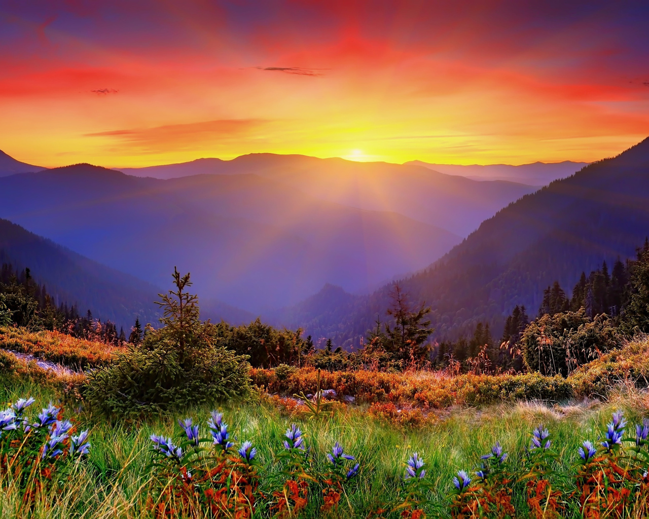 Красивый вид на восход солнца над горами