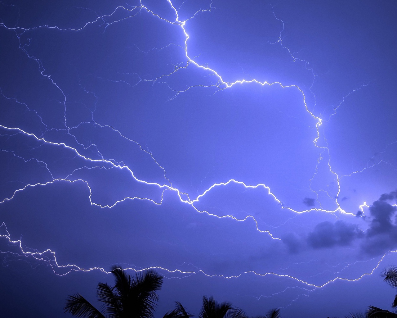 Bright lightning cuts through the sky during a tropical storm