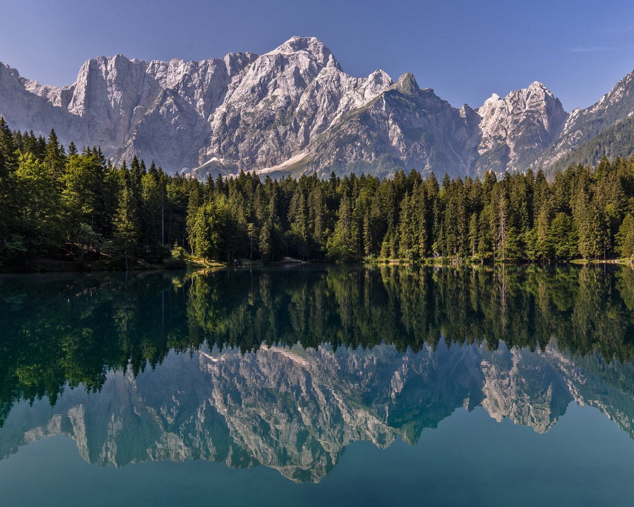 Зеленый хвойный лес и горы отражаются в воде 