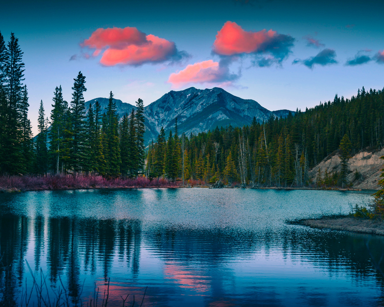 Зеленый лес у озера у подножия гор 