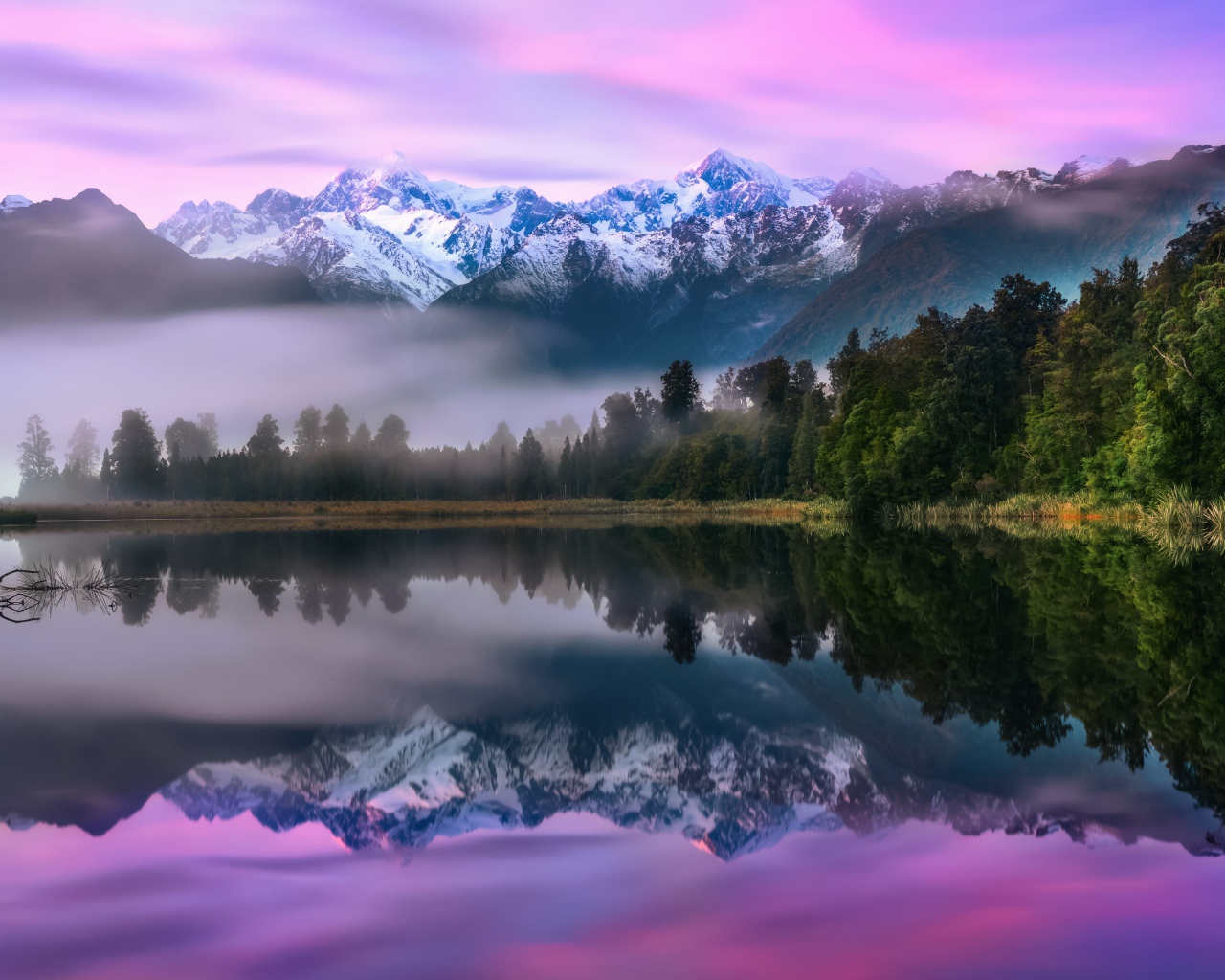 Зеленый лес у туманного озера на фоне гор