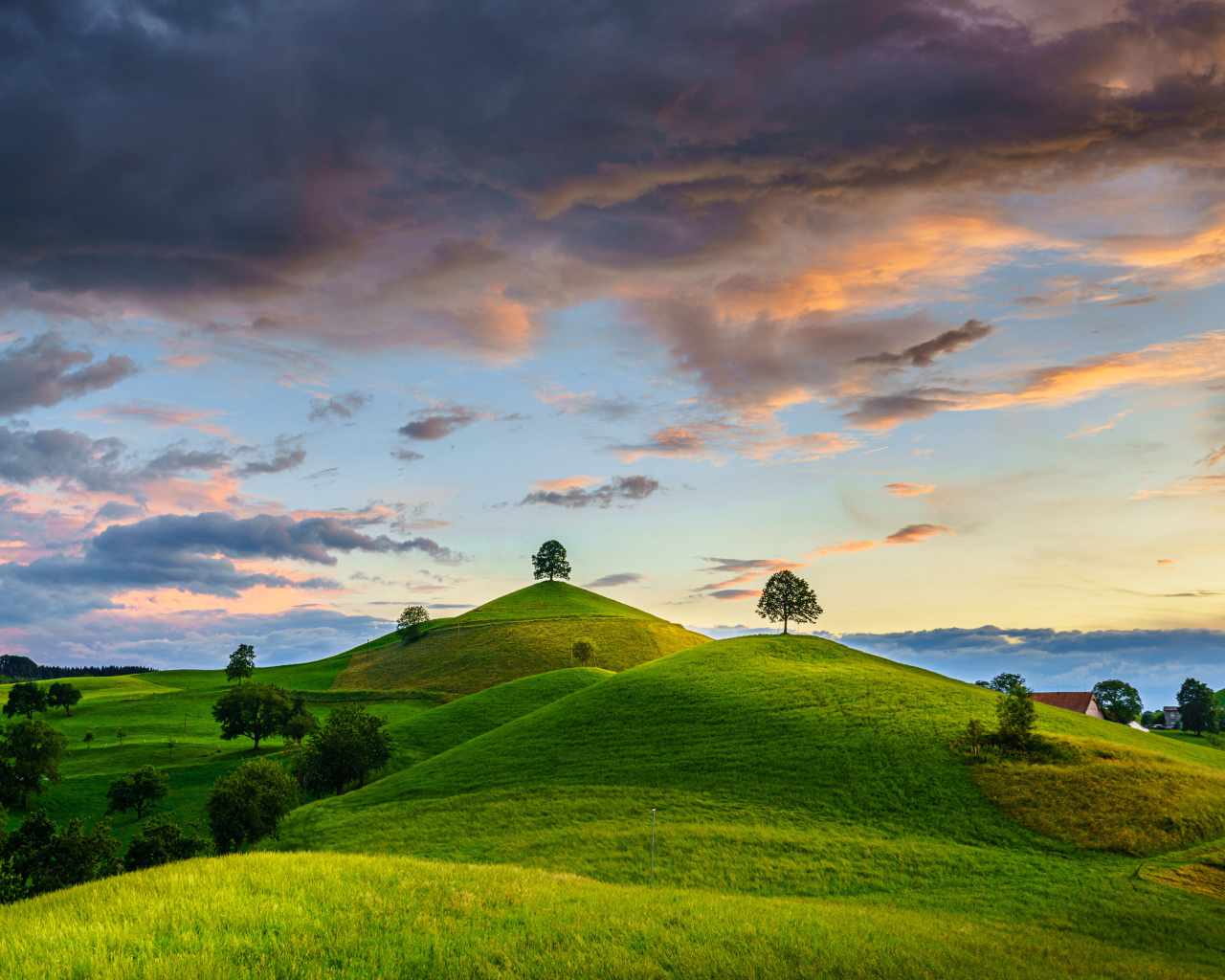 Зеленые холмы с деревьями под небом с грозовыми облаками