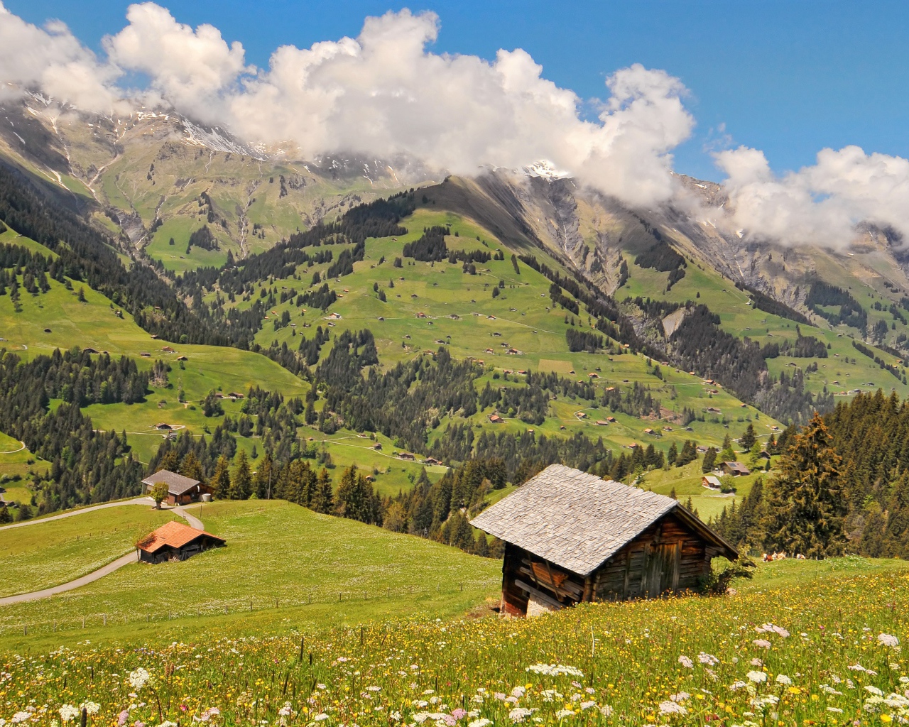 Дом на зеленом холме в горах под белыми облаками