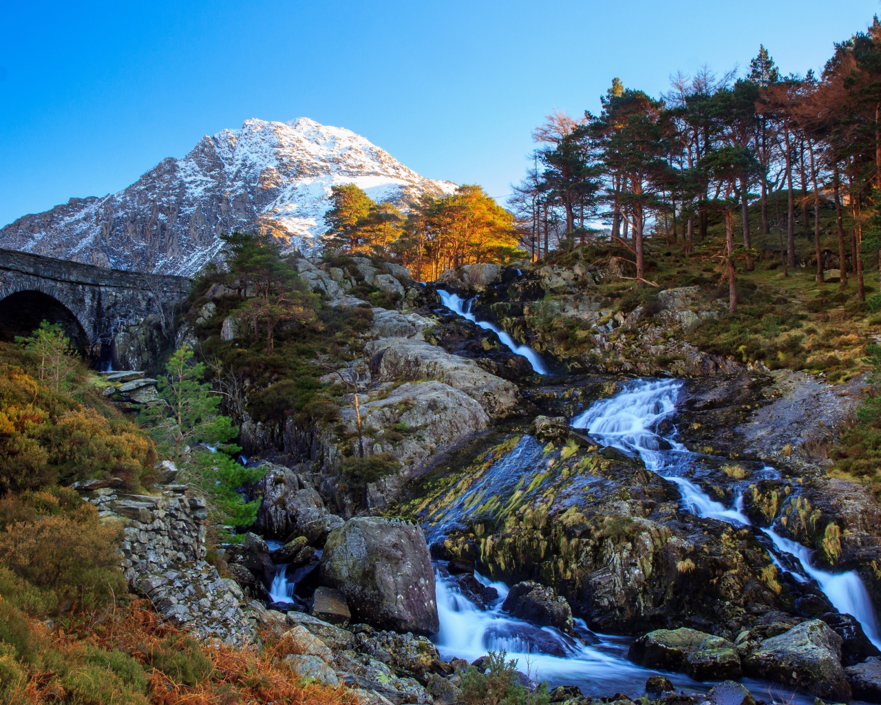 Горный ручей стекает по камням у хвойного леса
