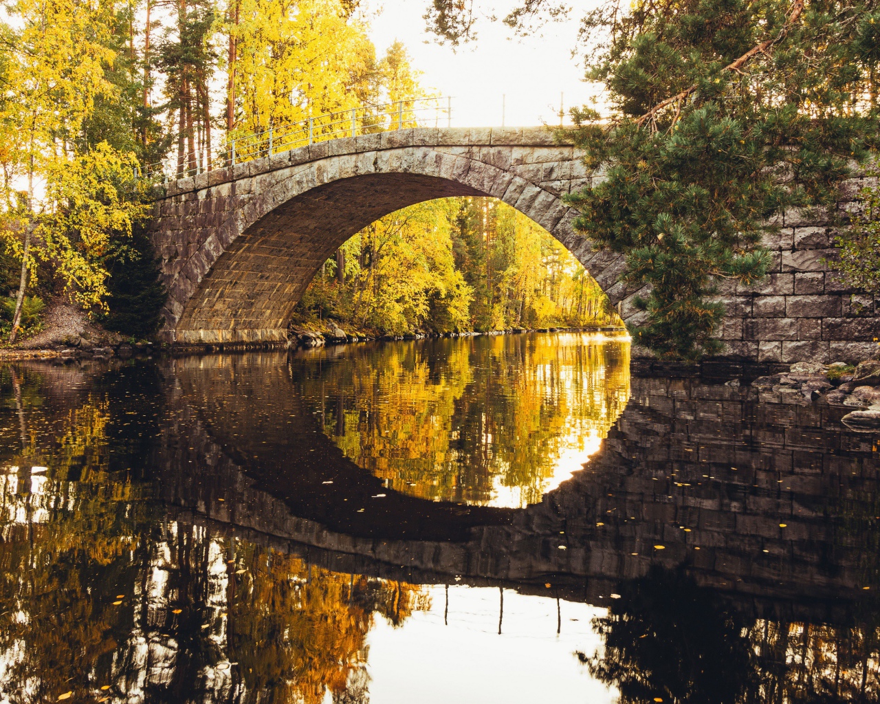 Старый каменный мост через реку в лесу 