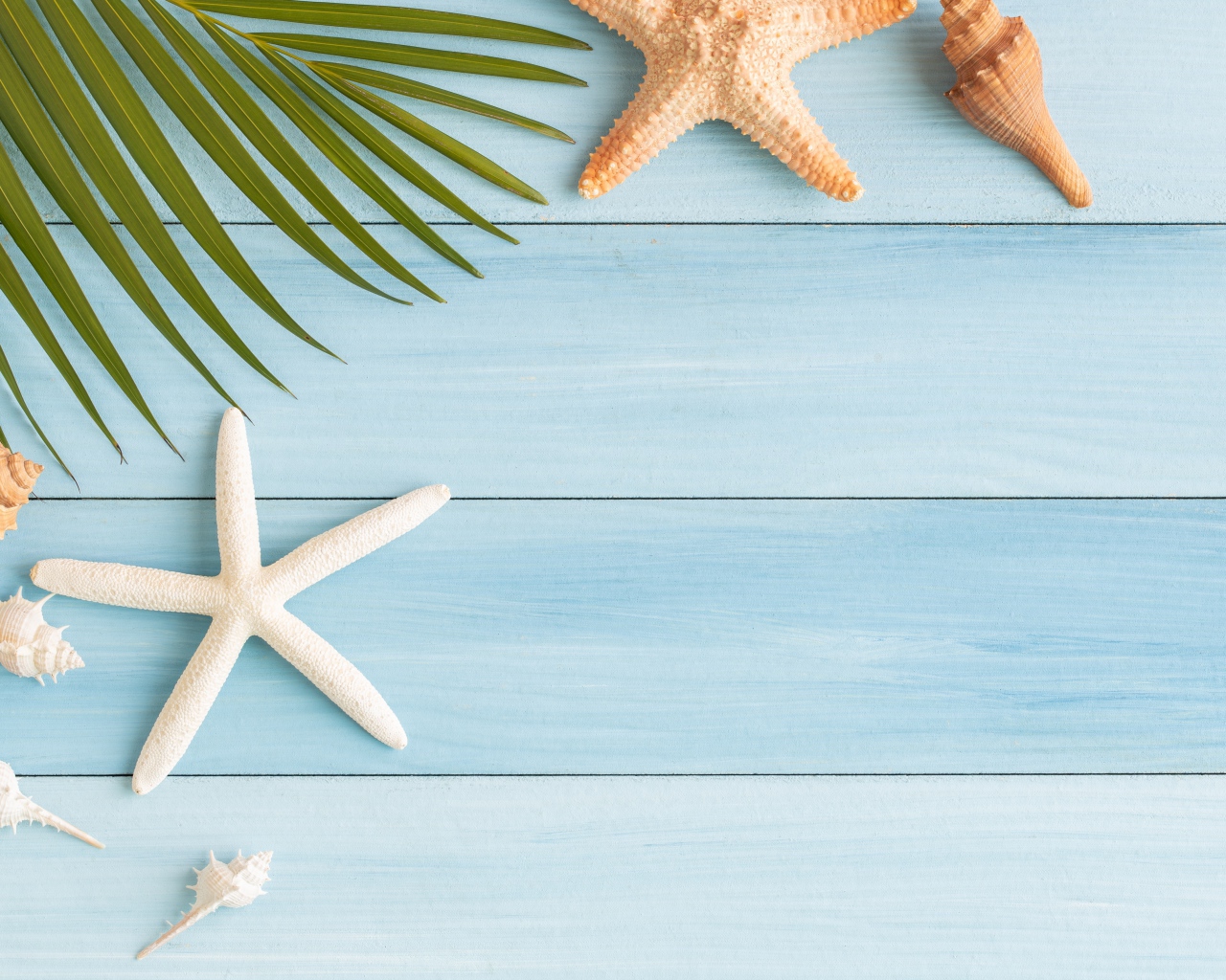 Пальмовый лист на столе с ракушками и морскими звездами 