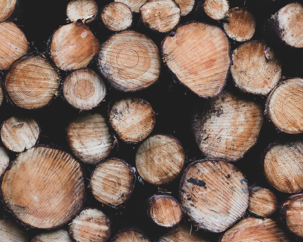 Заготовка дров к суровой зиме