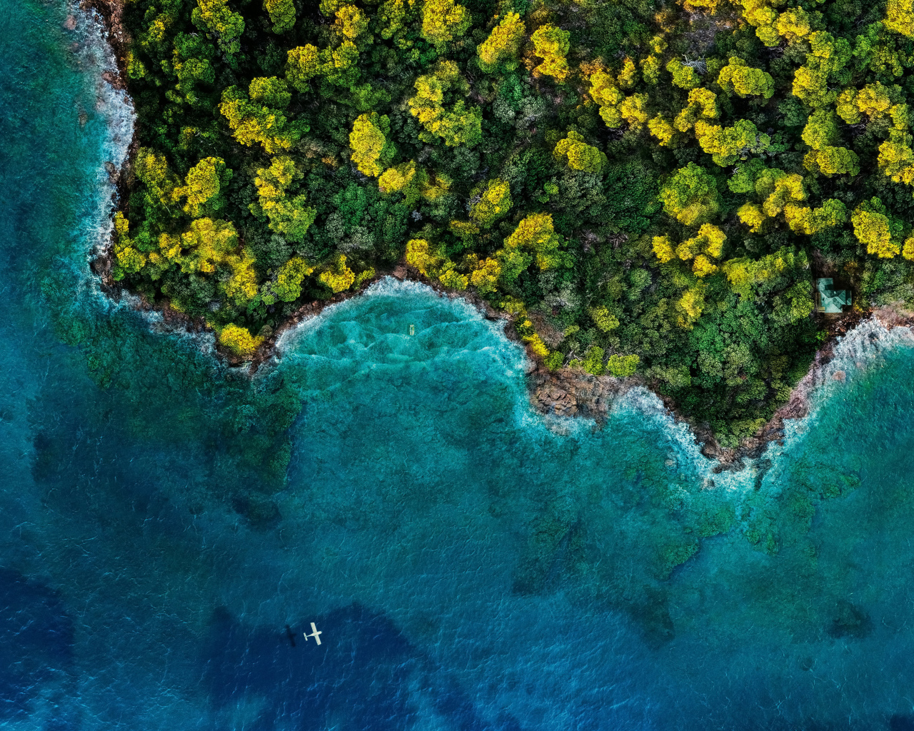 Вид сверху на голубой океан и зеленый лес, Исландия