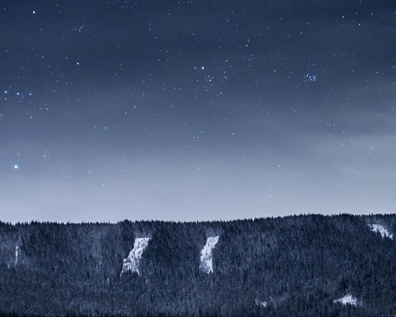 Вид на ночное небо со звездами над лесом