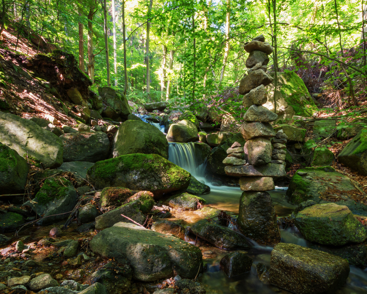 Вода стекает по покрытых мхом камням