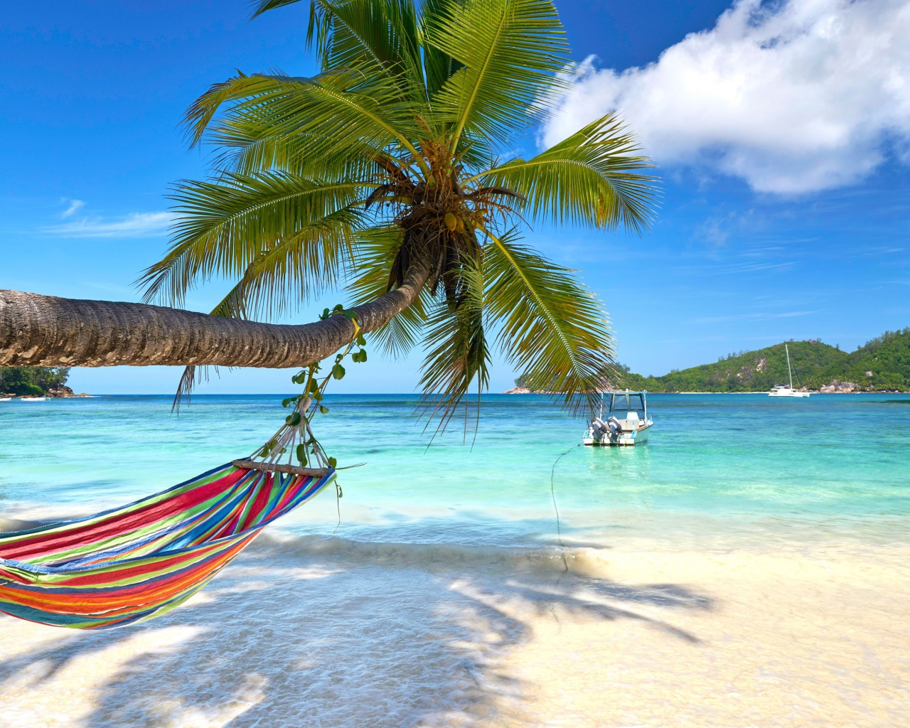 Разноцветный гамак висит на пальме на тропическом пляже 
