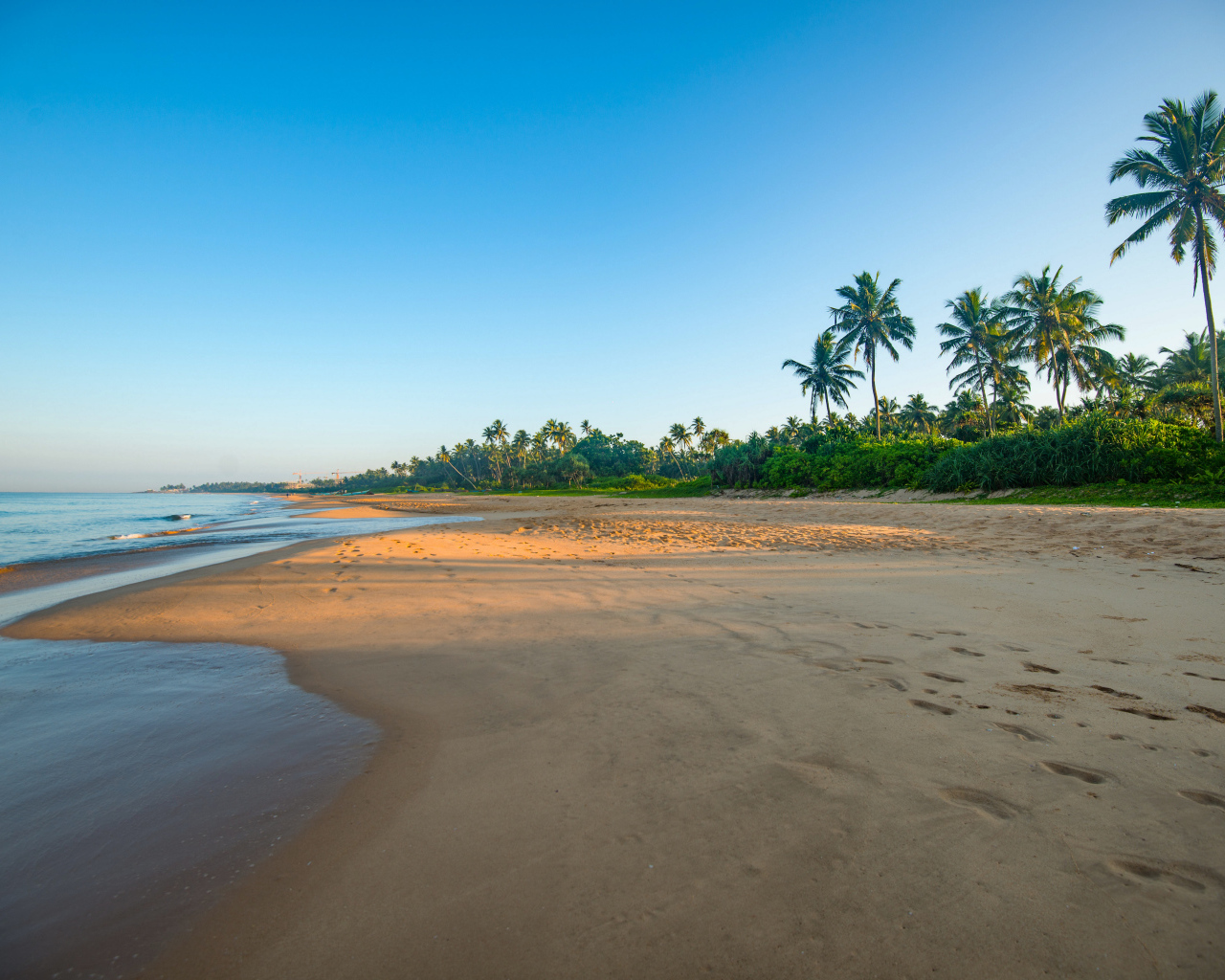 Желтый песок на тропическом пляже на рассвете 