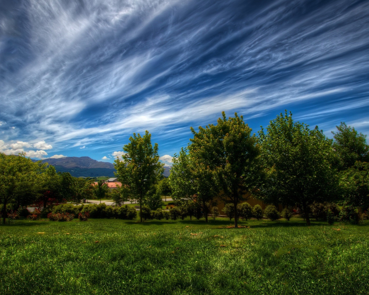 Красивое небо с облаками над деревьями