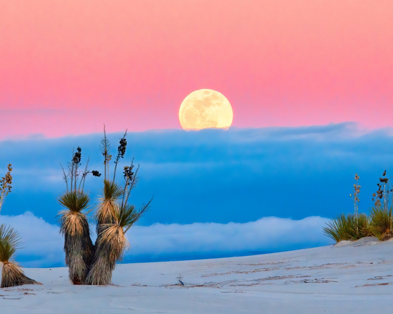 Большая желтая луна в розовом небе с облаками над пустыней 