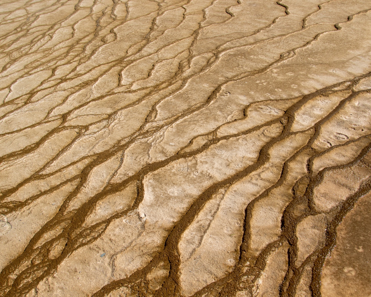 Трещины на песке крупным планом