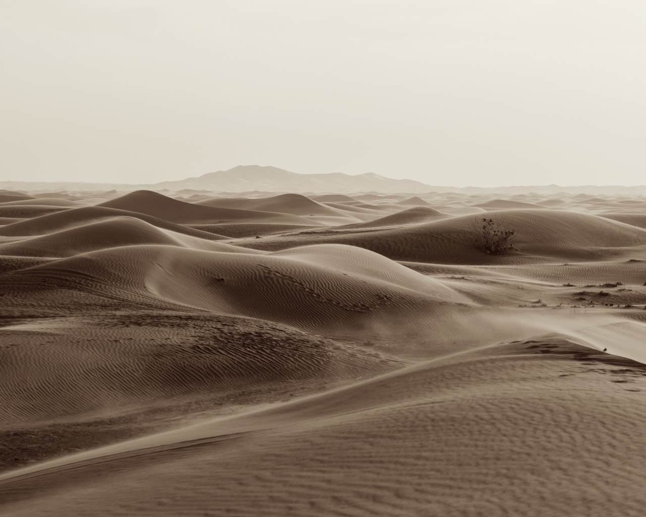 Бескрайние пески пустыни 