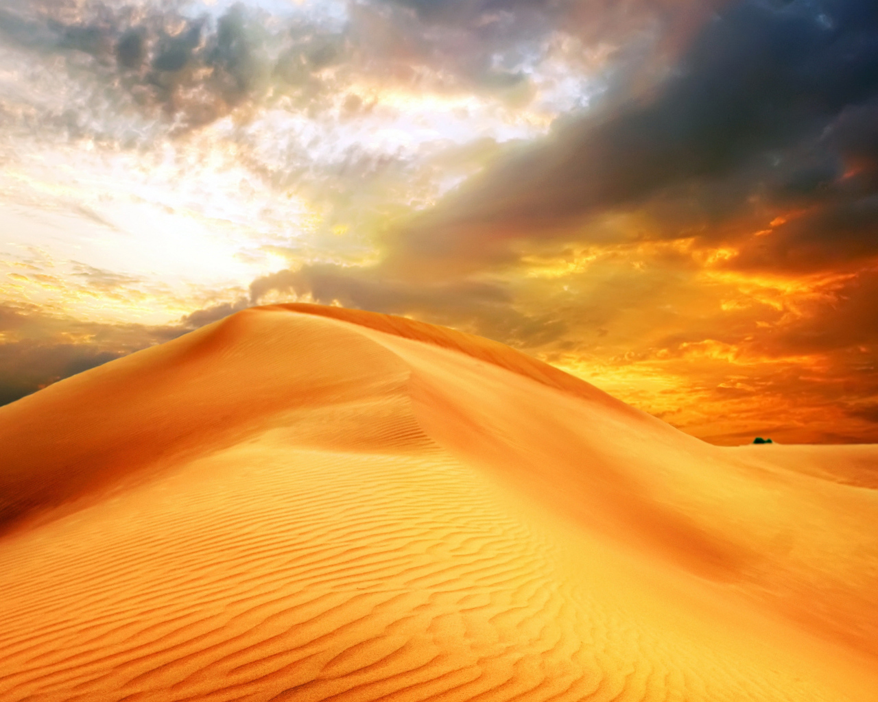 Закат солнце над барханом в пустыне 