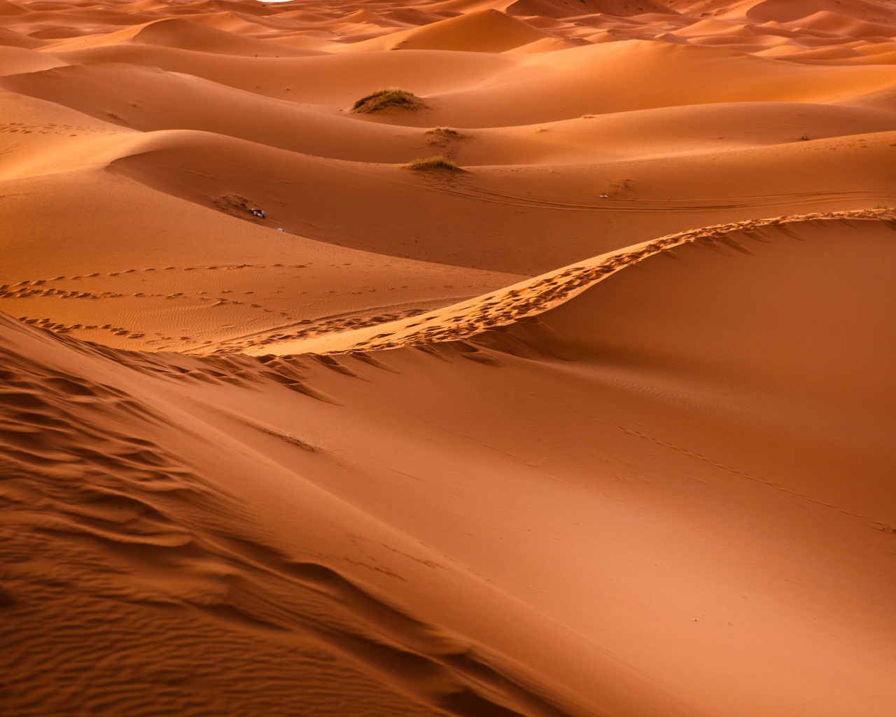 Бескрайние просторы горячей пустыни Сахара 