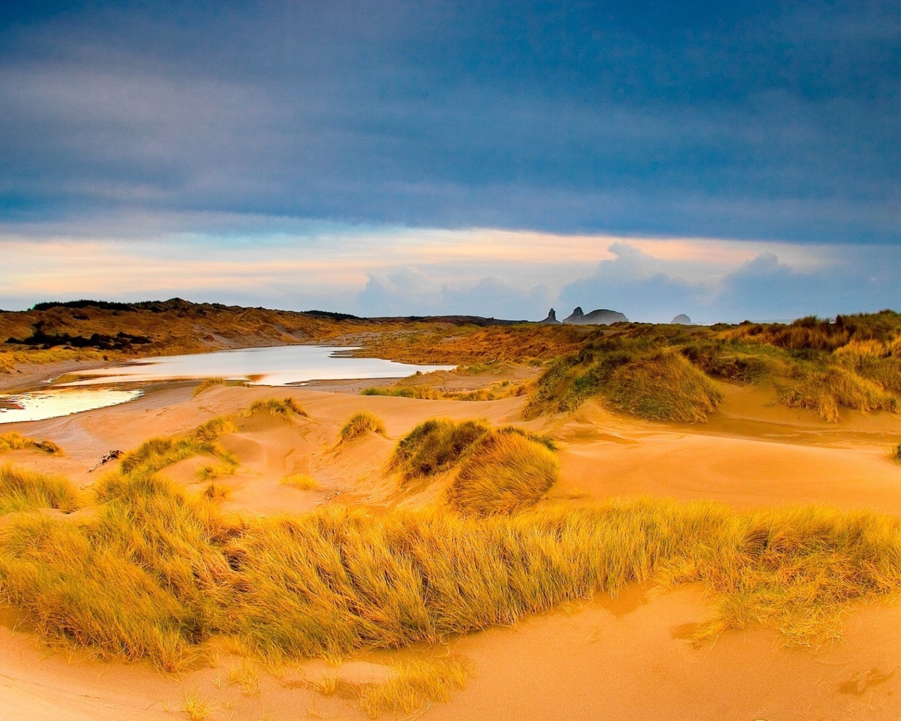 Мокрый песок с травой в пустыне