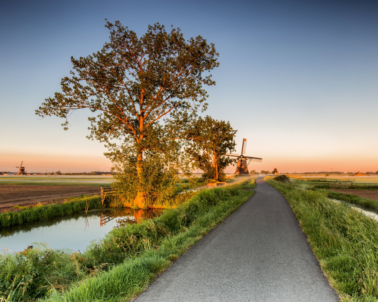 Поле и мельница у дороги на рассвете 