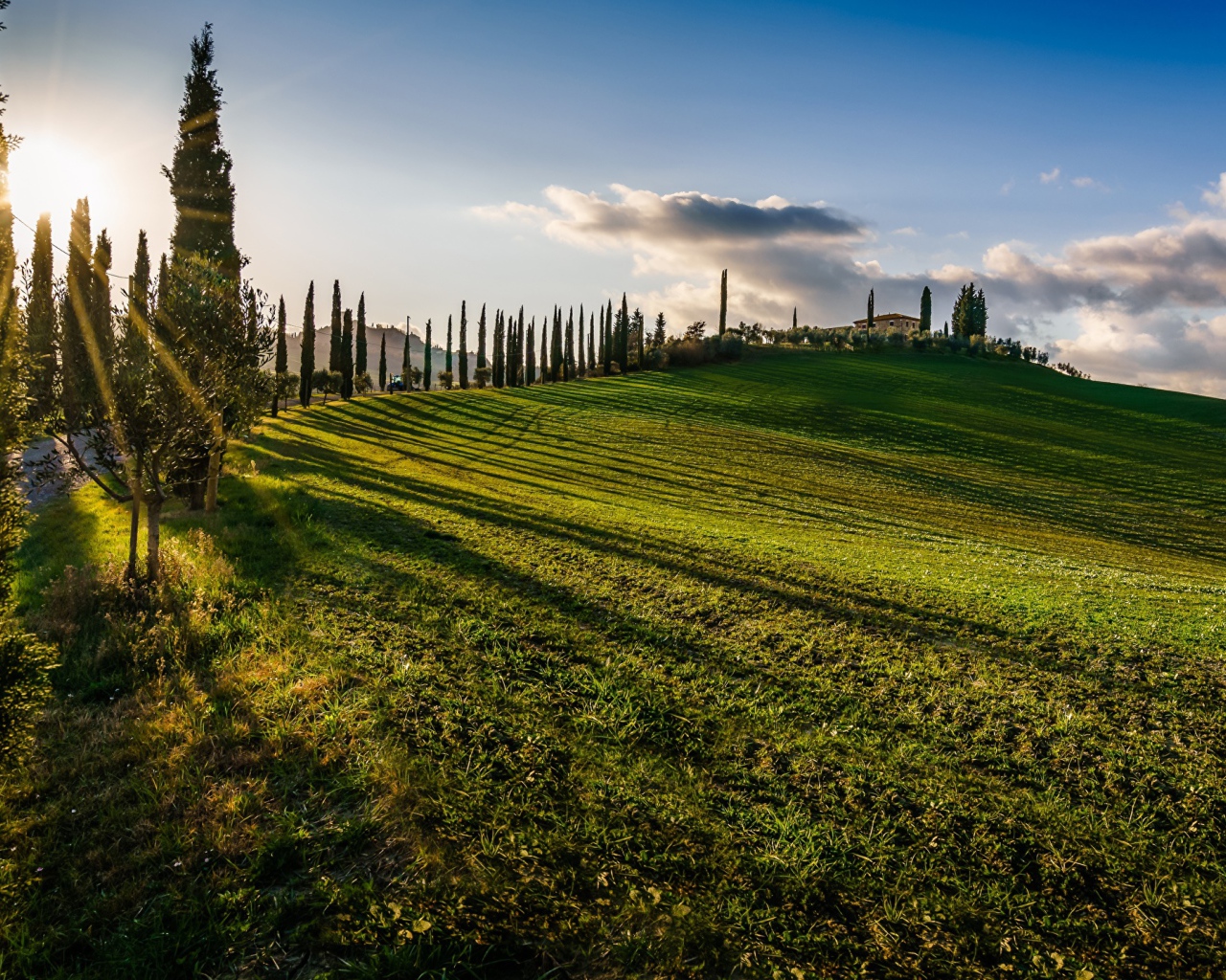 Зеленые поля в лучах солнца летом
