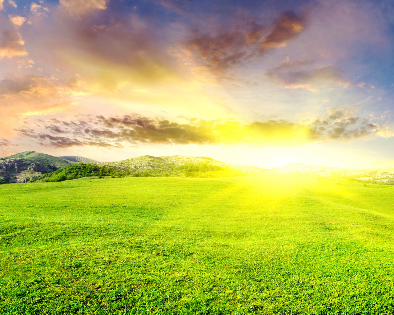 Восход солнца на зелеными полями 