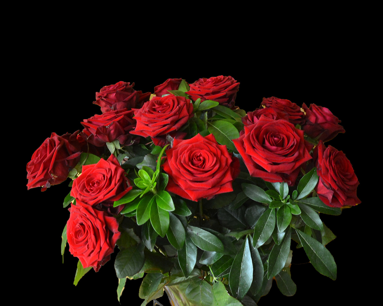 Большой букет красных роз на черном фоне