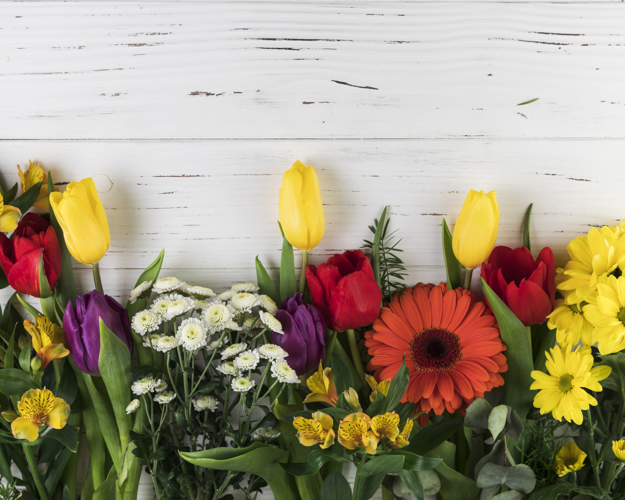 Цветы альстромерии, тюльпанов и георгин на белом фоне 