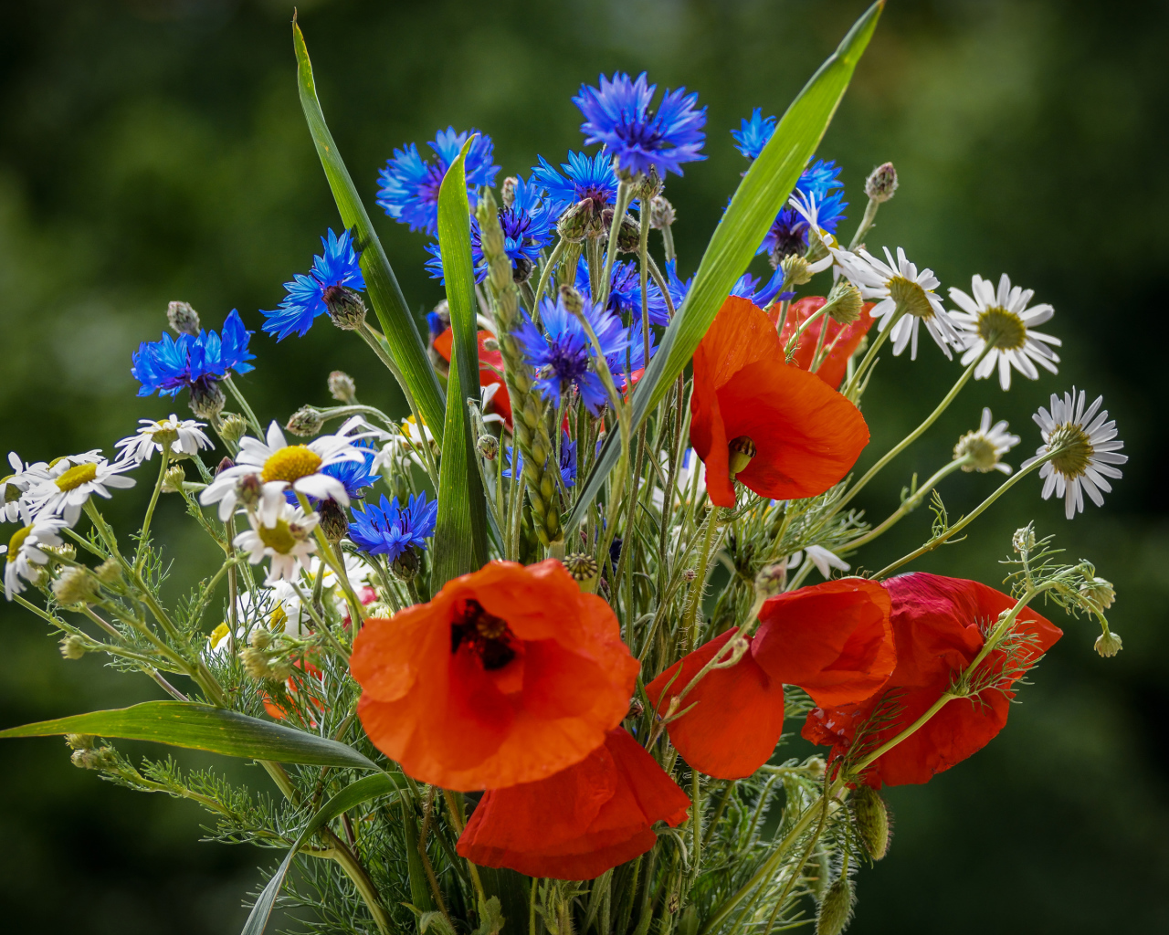 Красивый букет полевых маков, васильков и ромашек