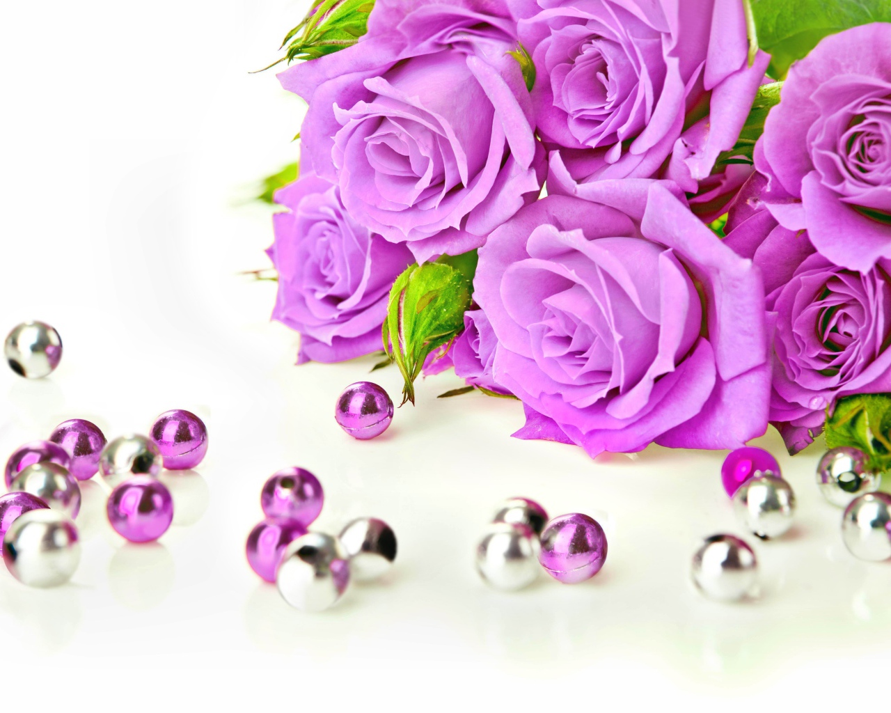 Красивые сиреневые розы на белом фоне с бусинами